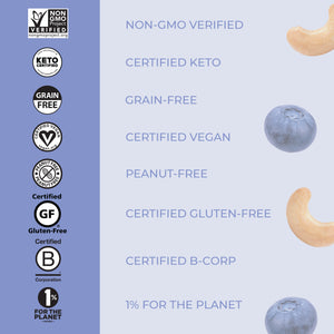 Blueberry Cashew Snack Bar (9 Pack)